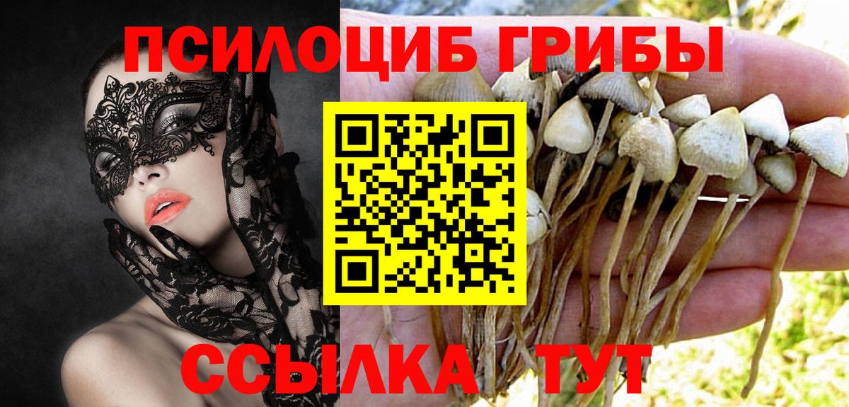 Галлюциногенные грибы GOLDEN TEACHER  Вход с VPN  Липецк 